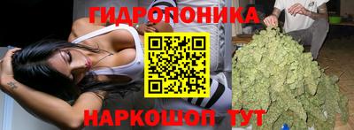винт Балашиха
