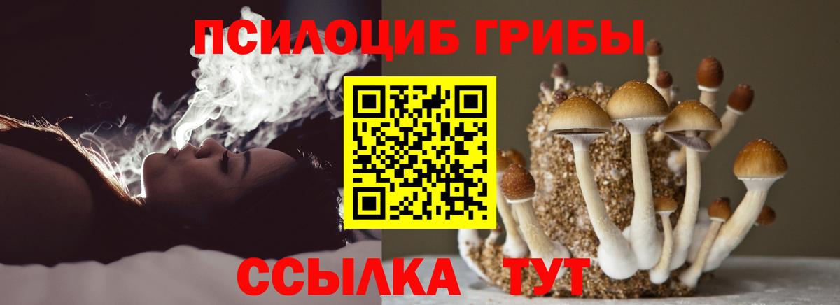 Псилоцибиновые грибы ЛСД  Псилоцибиновые грибы мухоморы  Гатчина  Вход с VPN 
