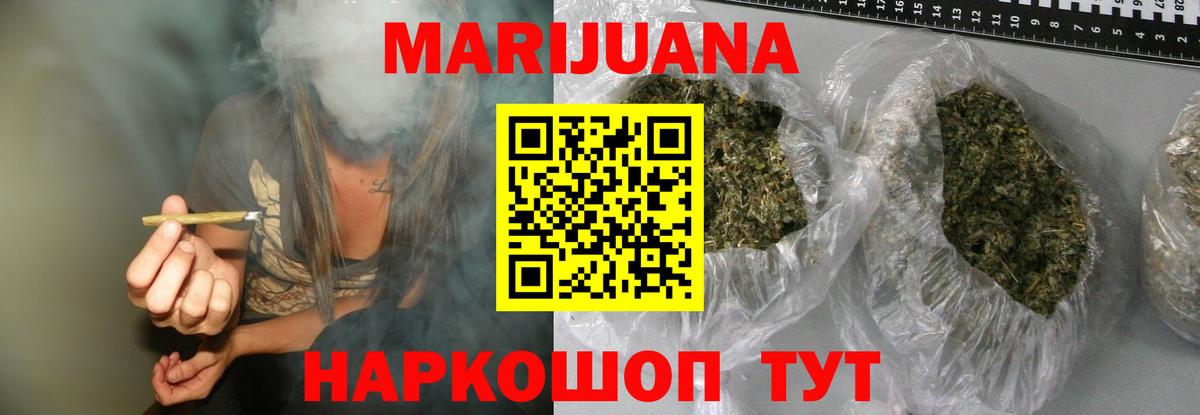 Конопля сатива Гатчина